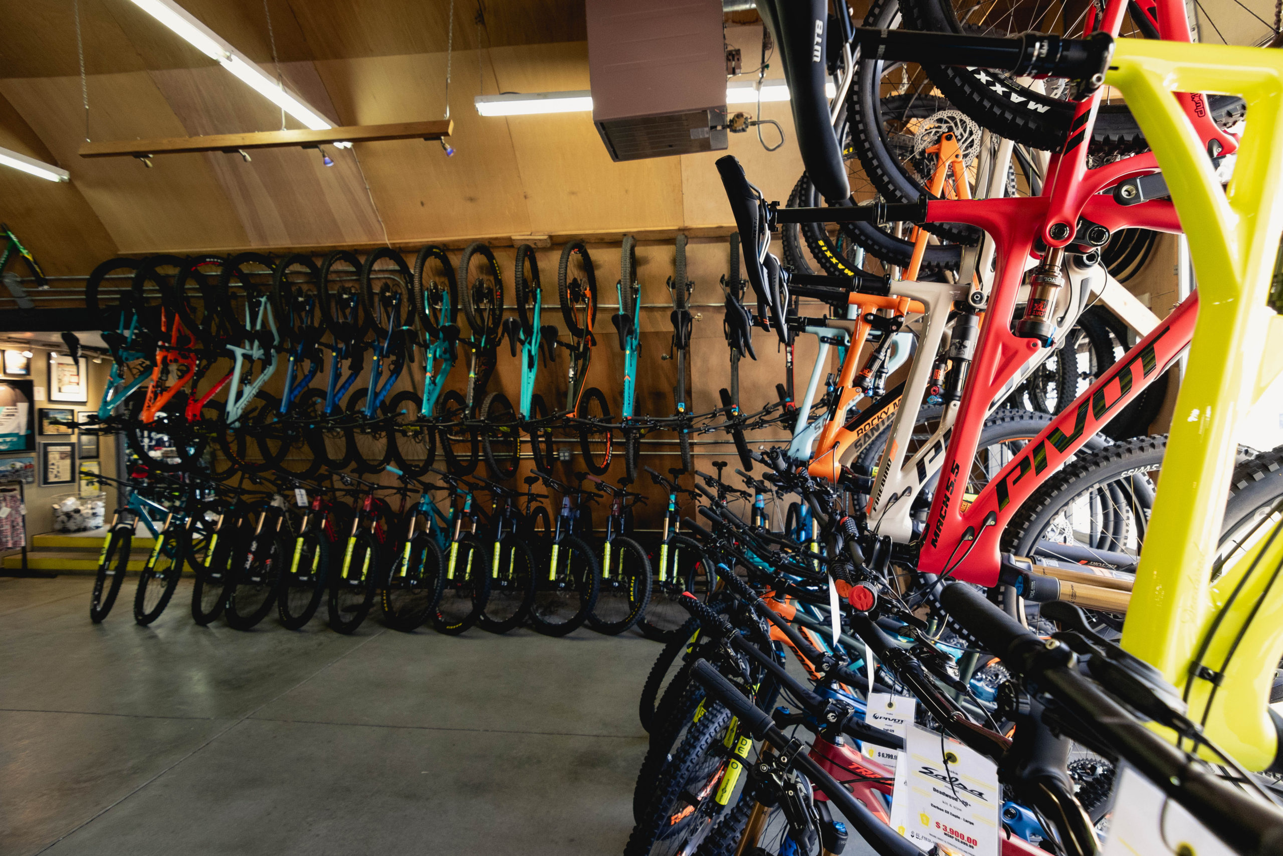 Bikes hanging in Sports Garage store