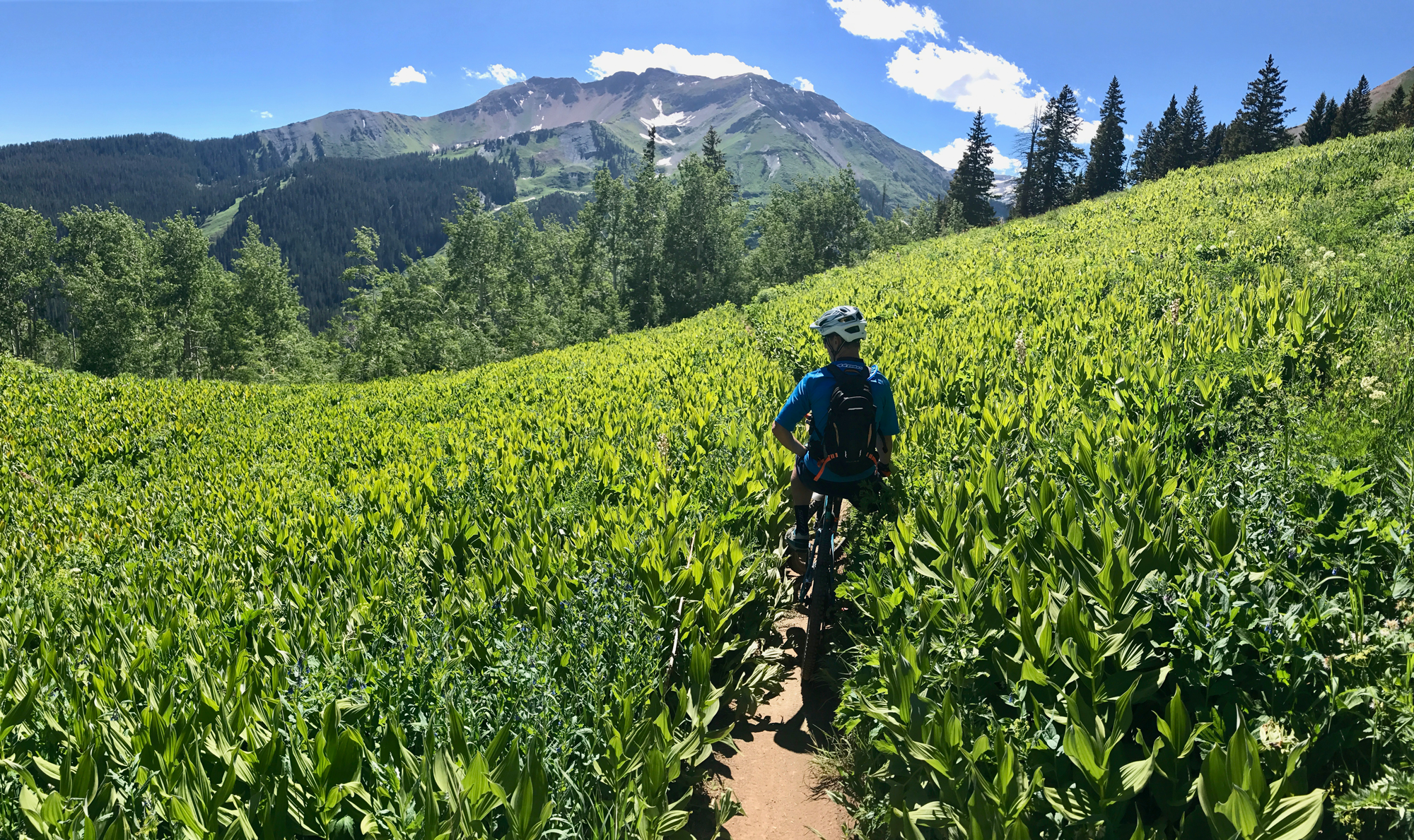 Riding Crested Butte trail with mountain views