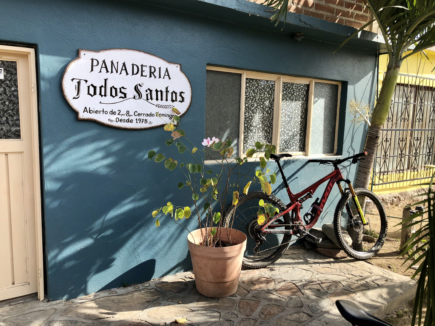 Bike outside bakery in Todos Santos