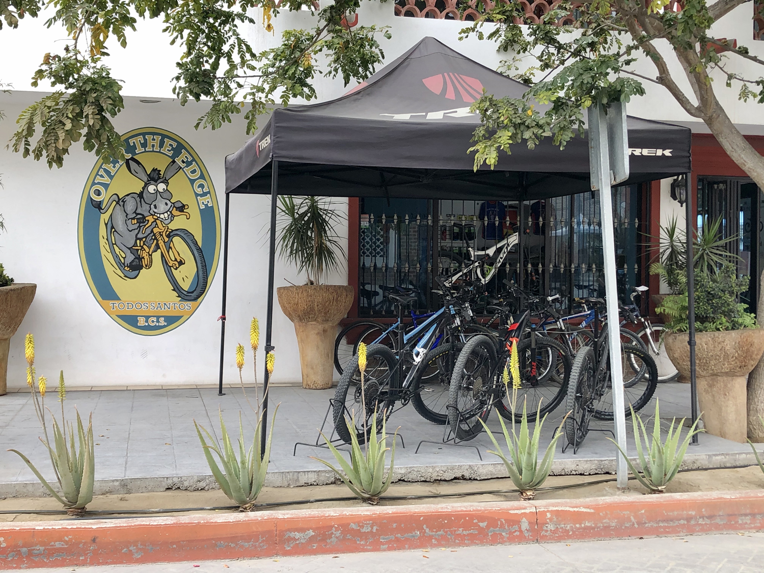 Over The Edge bike shop in Todos Santos
