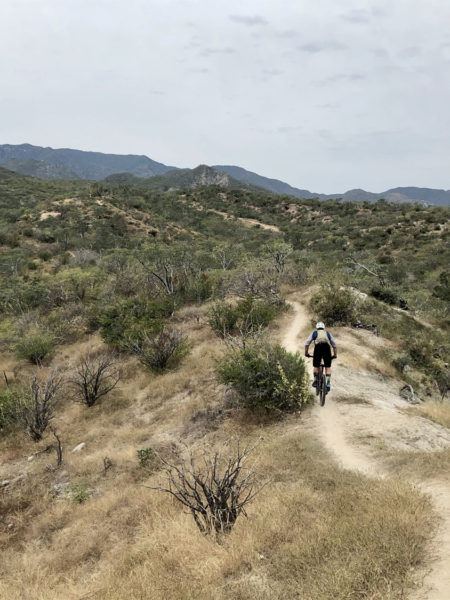 Cyclist riding on a Baja California Sur trail