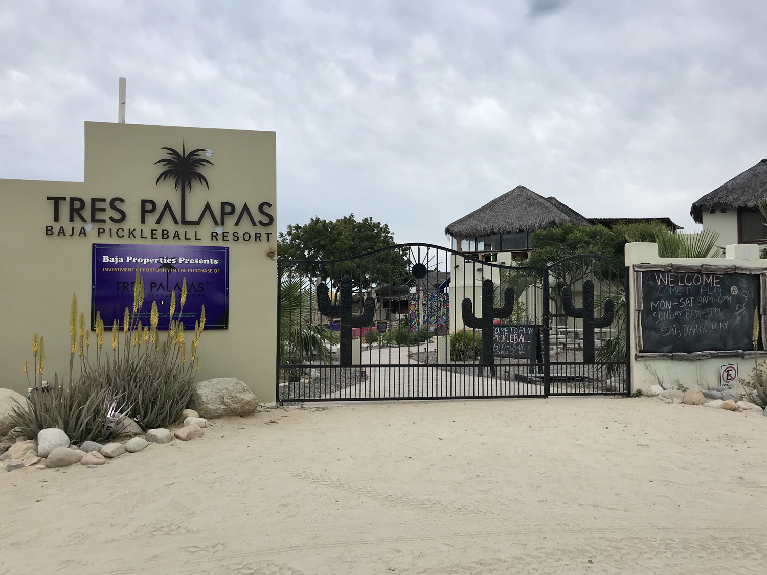 Purple pickleball courts and fresh guac near Buena Vista beach