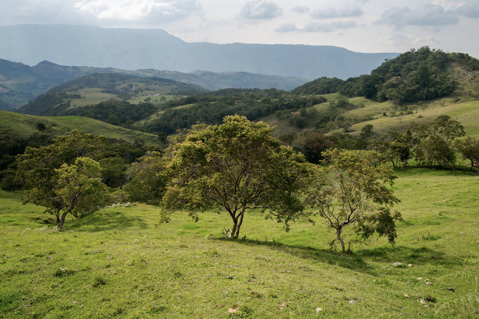 Scenic countryside in Colombia